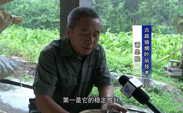 緊緊抓住木屑造粒機生物質(zhì)顆粒燃料加工場地建設項目落地的契機，找準結合點，推動共和綜合服務型煙農(nóng)專業(yè)合作社與生物質(zhì)顆粒燃料加工廠的緊密合作.jpg